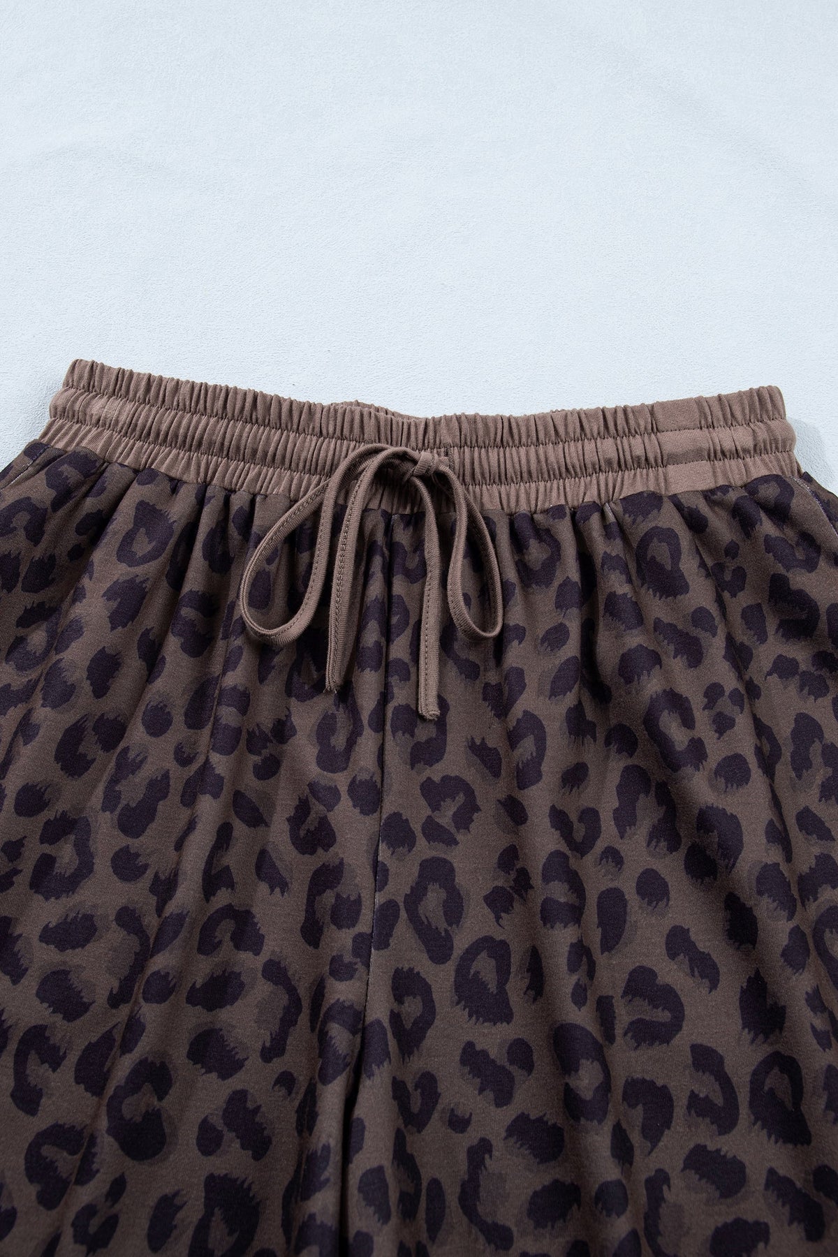 Brown V Neck Collar Leopard Printed 2pcs Short Set